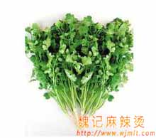 香菜