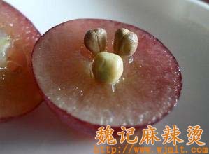葡萄籽