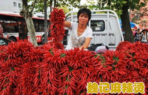 卖辣椒的大姐